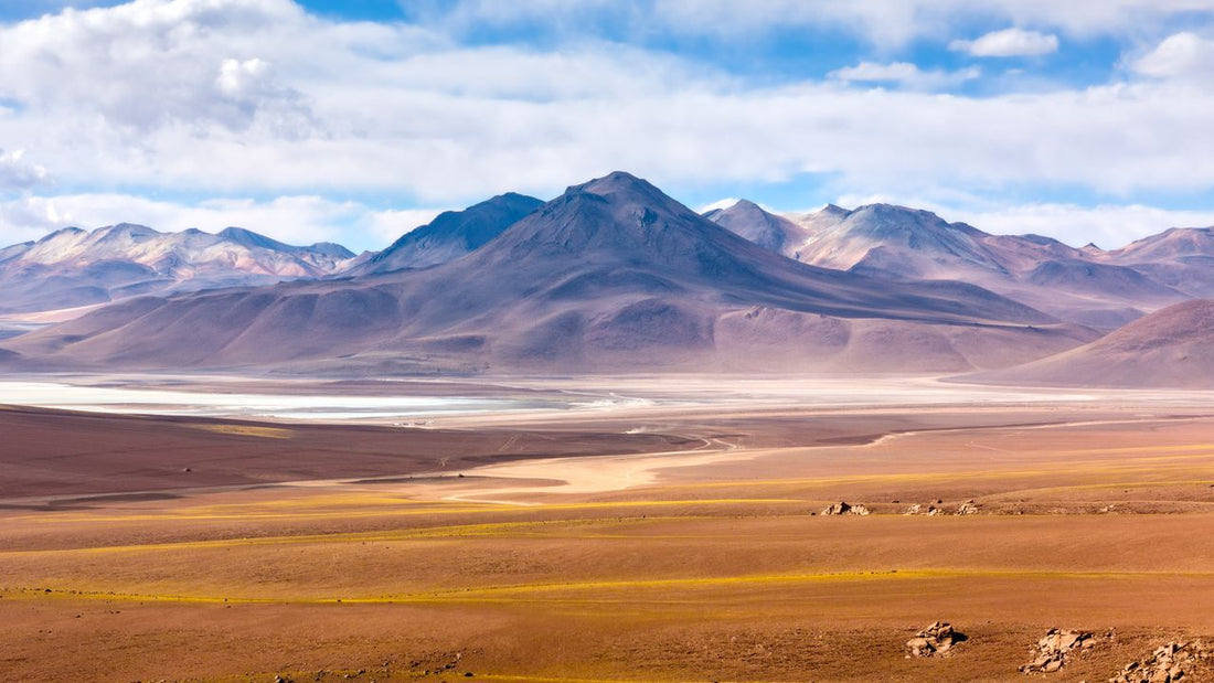 Avoid roaming in South America