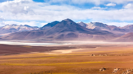 Avoid roaming in South America