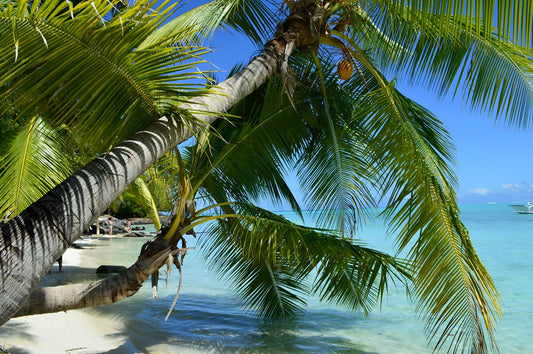 Always Mobile Expands Travel eSIM Coverage to New Destinations Worldwide