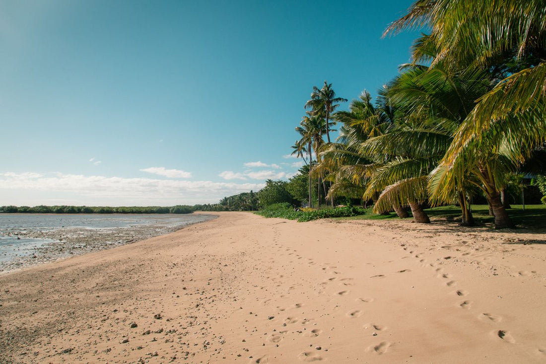 Best Mexico eSIM Plans for Easy Travel and Reliable Data