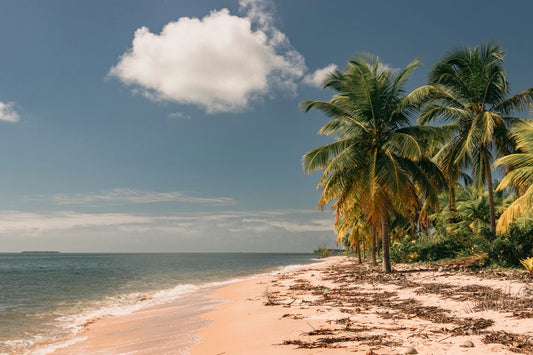 Best Dominican Republic eSIM for travel