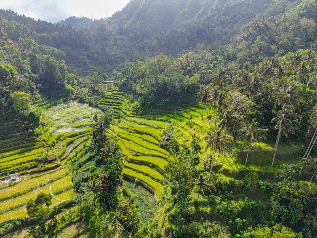 eSIM for Indonesia Travel