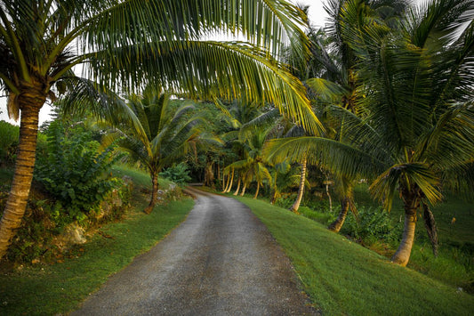 Best eSIM for Jamaica travel