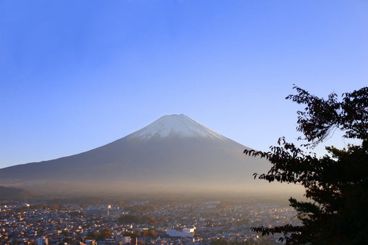 Roaming in Japan