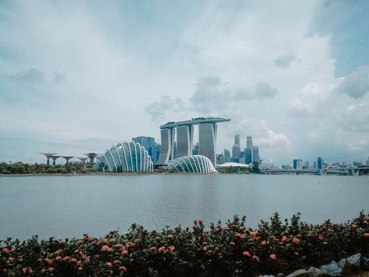 Roaming in Singapore