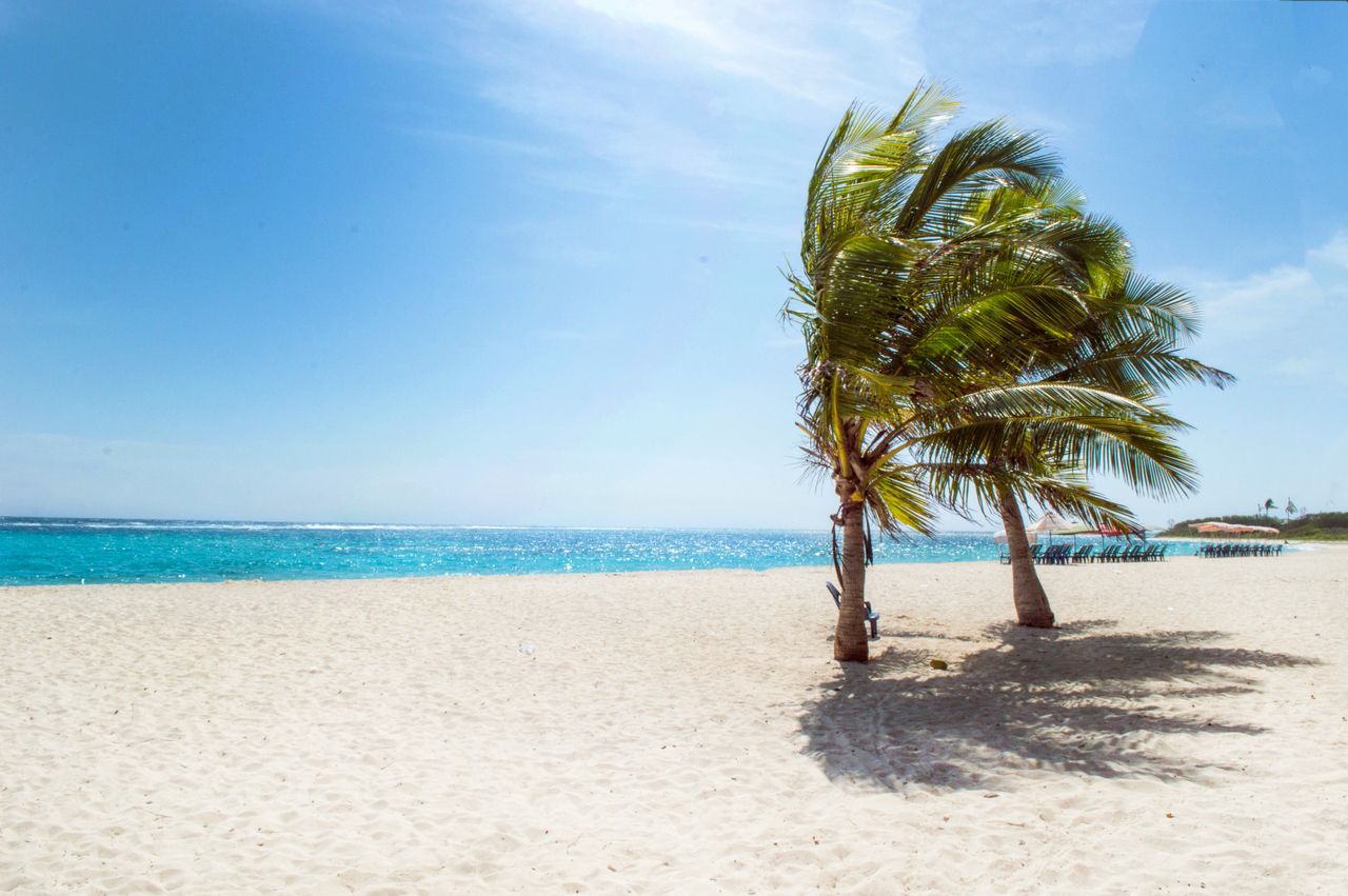 Best Anguilla eSIM for travel; a tropical beach scene in Anguilla with two leaning palm trees on white sand, and turquoise ocean water.