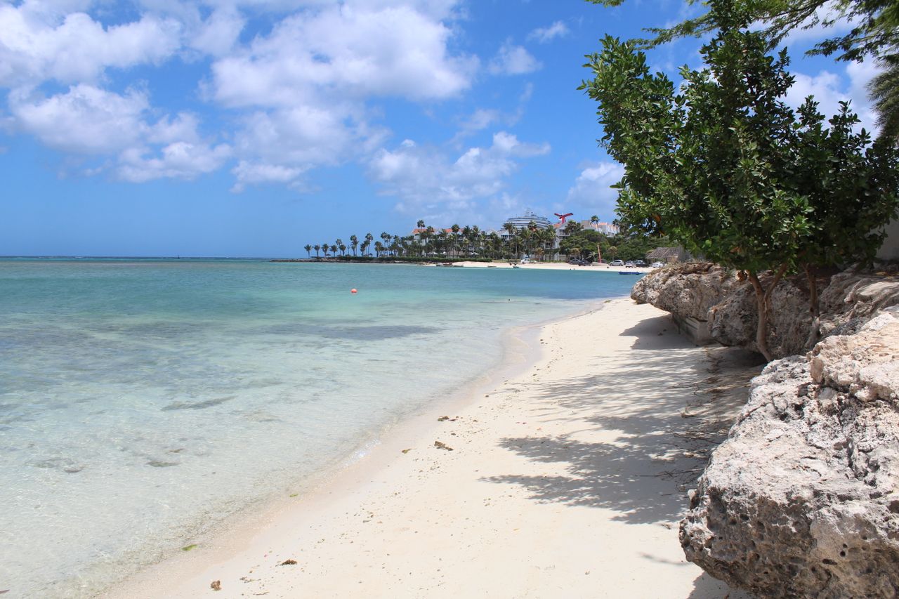 Best Aruba eSIM for travel; a tropical beach in Aruba with clear turquoise water, white sand, large rocks in the foreground, green trees.