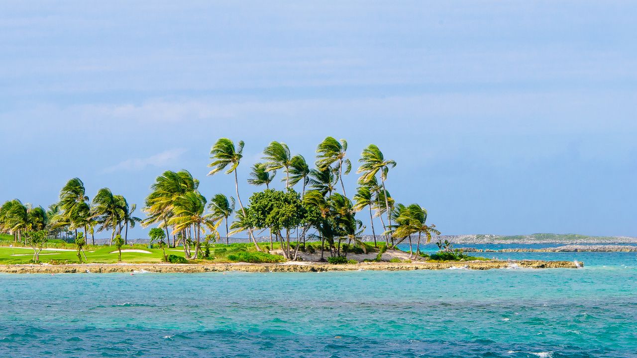 Best Bahamas eSIM for travel; a tropical island scene with palm trees on a rocky shoreline in the Bahamas.