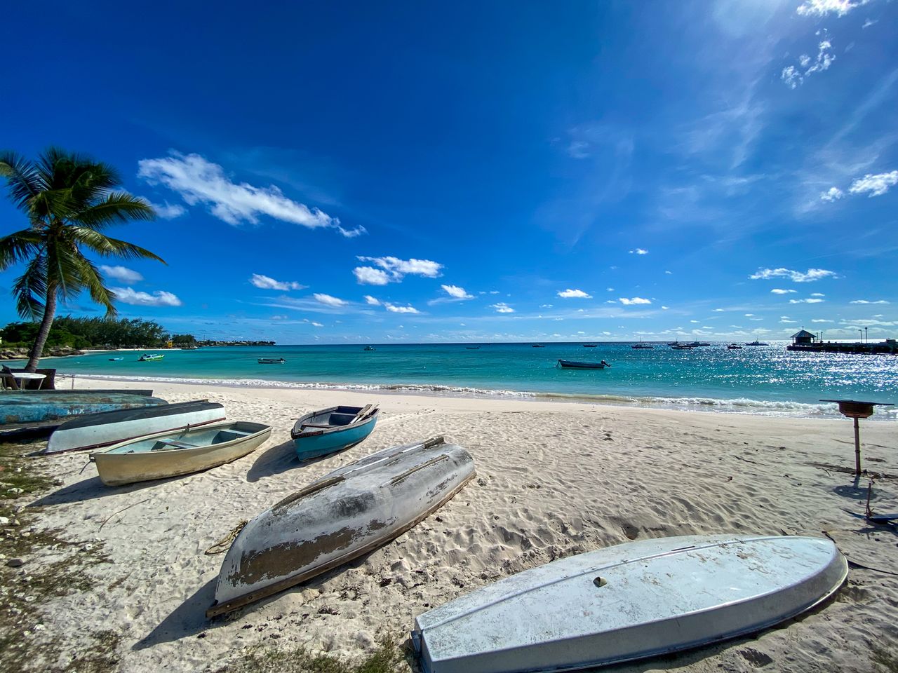 Best eSIM for Barbados; a tropical beach in Barbados with several small boats resting on the sand, a palm tree on the left, turquoise ocean water.