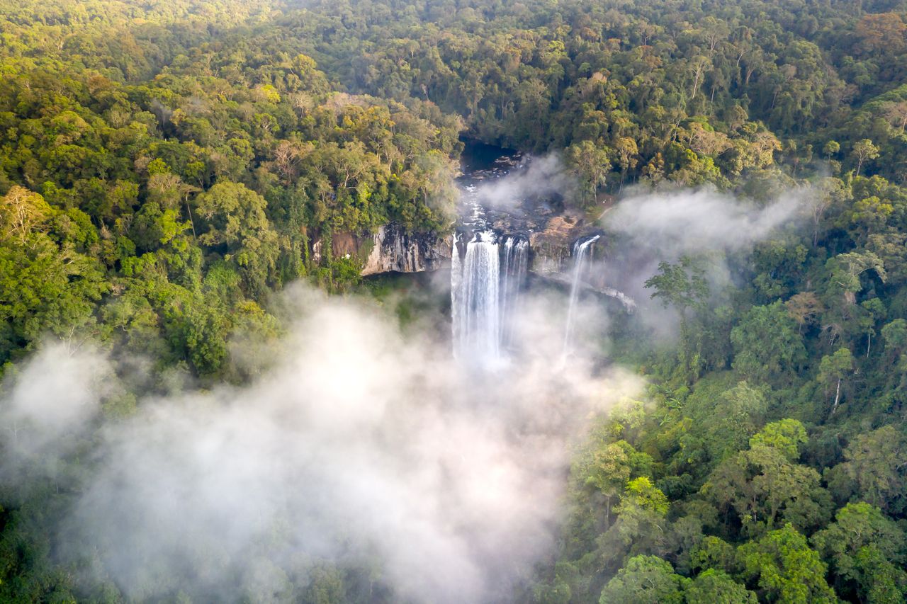 Best eSIM for Cameroon; aerial view of a tall waterfall in Cameroon cascading through dense green forest, partially surrounded by thick white mist.
