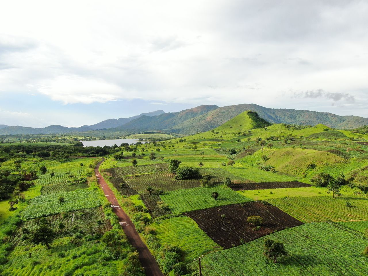 Best Cameroon eSIM for travel; aerial view of a green landscape with patchwork farm fields, rolling hills, a dirt road, a small lake, and mountains.