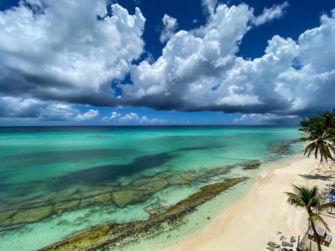 Cayman Islands eSIM plans - photo of a Cayman Islands' beach with clear turquoise water and palm trees under a blue sky.