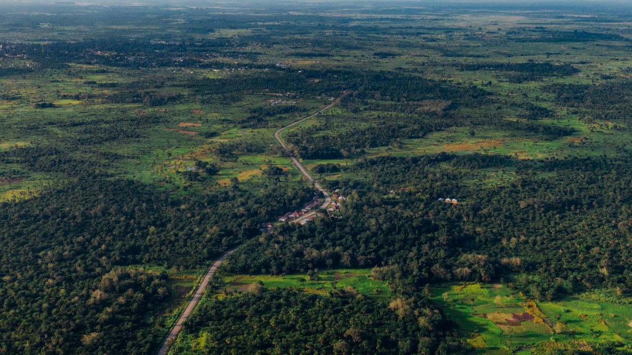 Best eSIM for Central African Republic;  a vast green landscape with dense forest, patches of cultivated land, and a narrow road running through the center.