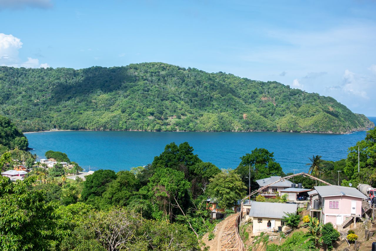 Best eSIM for Dominica; a coastal landscape in Dominica with a large green mountain rising behind bright blue water, with houses and trees in the foreground.