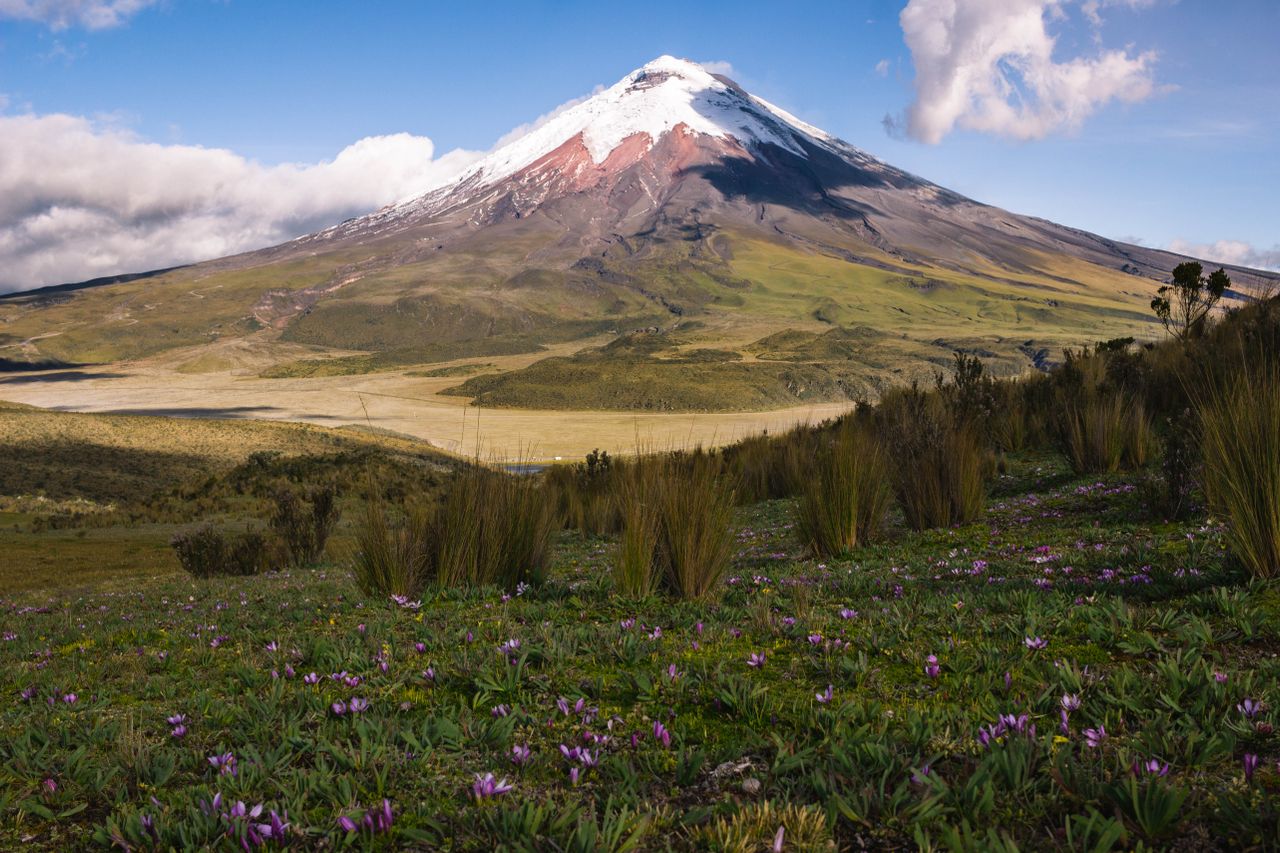 Best eSIM for Ecuador; a scenic landscape photograph of a snow-capped volcanic mountain in Ecuador under a blue sky with clouds, with a grassy valley in the foreground.