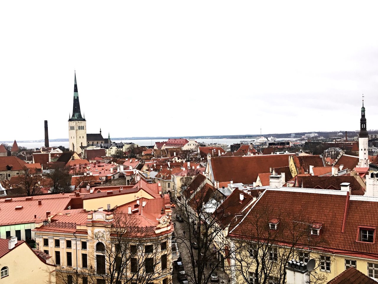 Best eSIM for Estonia travel - photo of  a city in Estonia with dense red-tiled rooftops, historic buildings under an overcast sky.