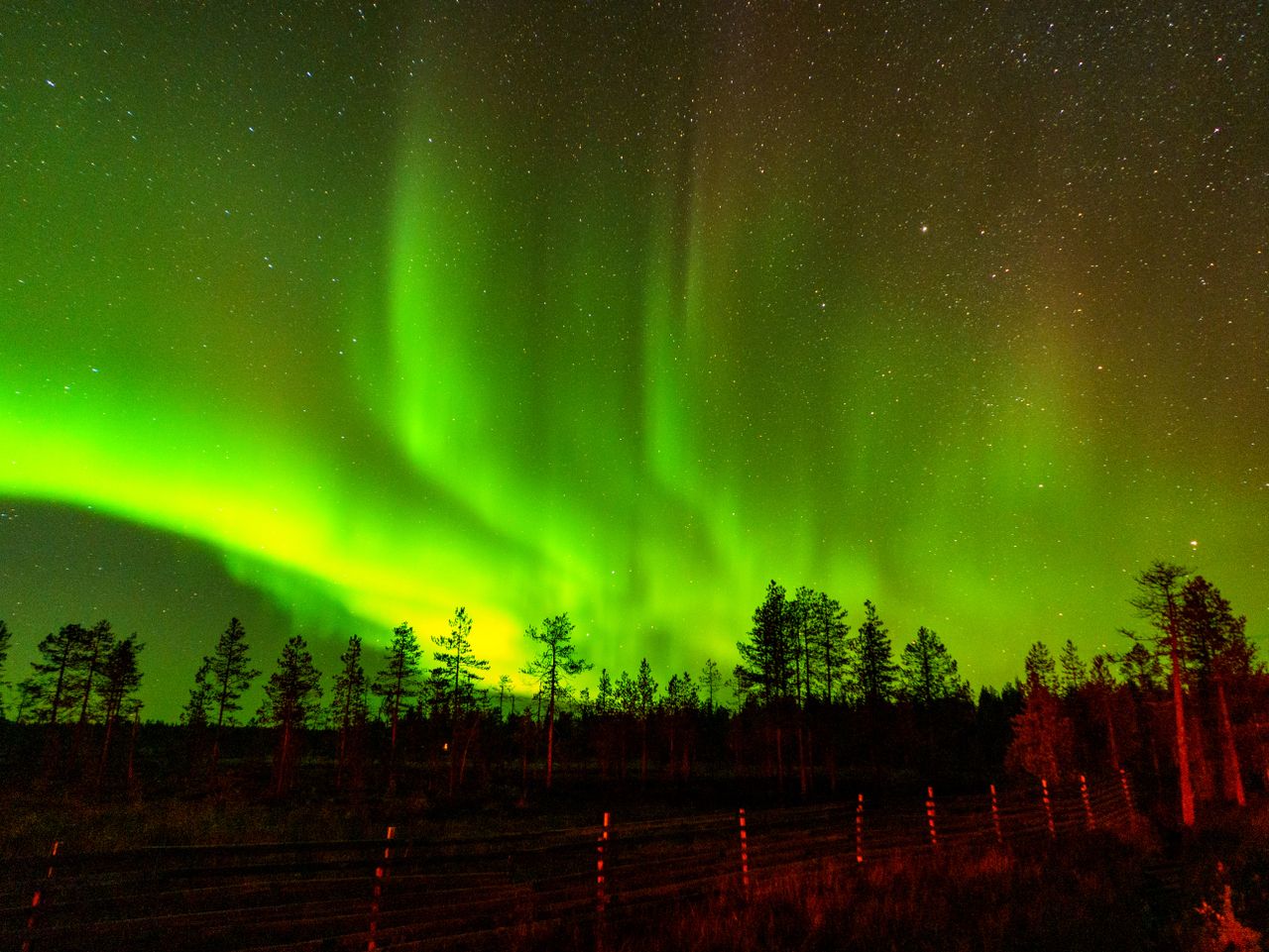 Best eSIM for Finland - photo of northern lights with vibrant green and yellow hues dancing across a starry night sky in Finland.
