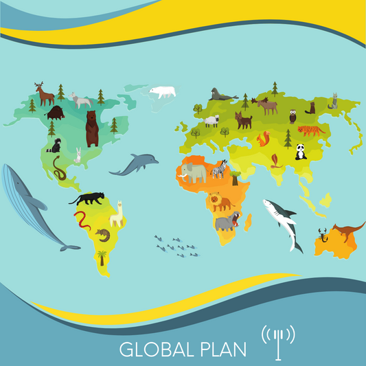 Global eSIM Data Plan