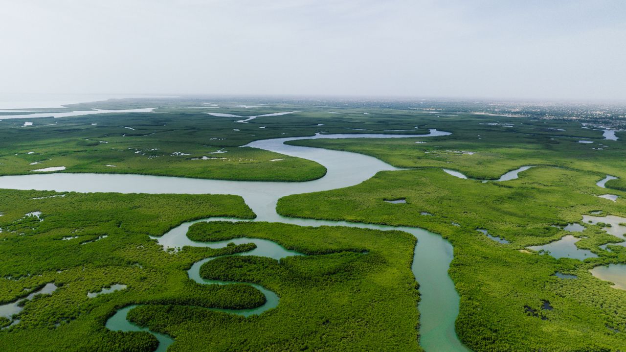 Best Gambia eSIM for travel; a winding river in Gambia snaking across green fields under a cloudy sky.