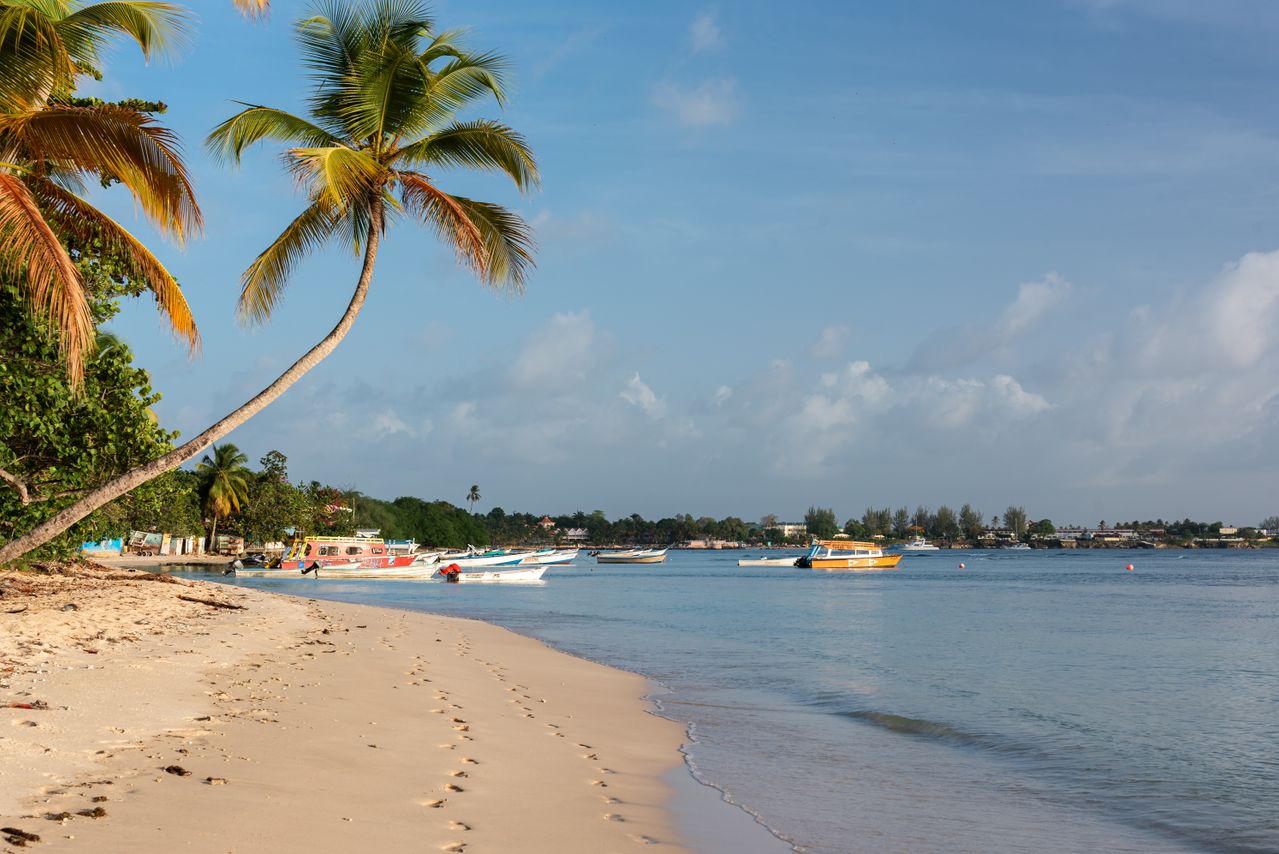 Best eSIM for Grenada travel; a scenic sandy beach in Grenada with boats moored in the blue waters and palm trees lining the shore.