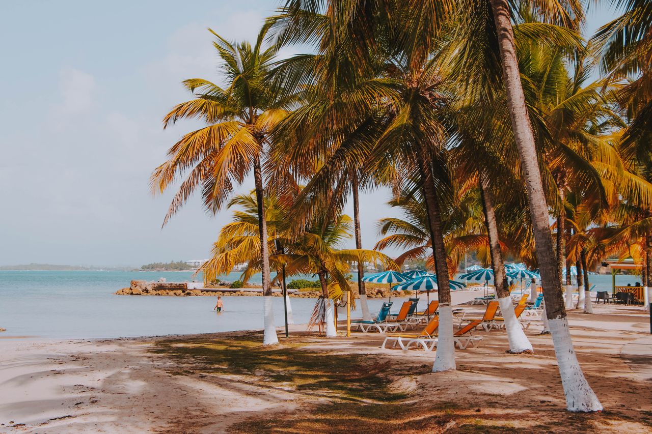 Best eSIM for Guadeloupe travel - photo of beach chairs by the ocean in Guadeloupe