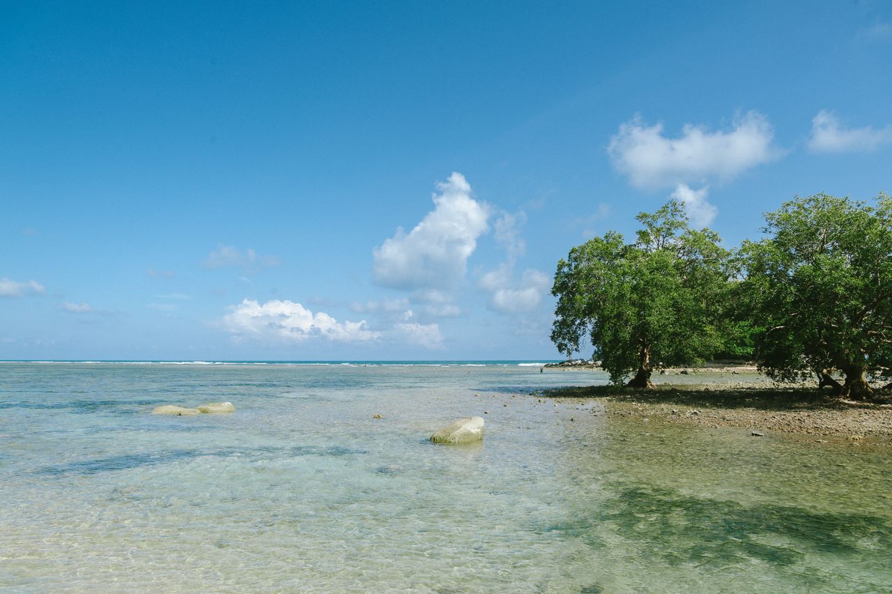 Best Guam eSIM for travel; an ocean scene with clear water and a rocky beach with green trees in Guam