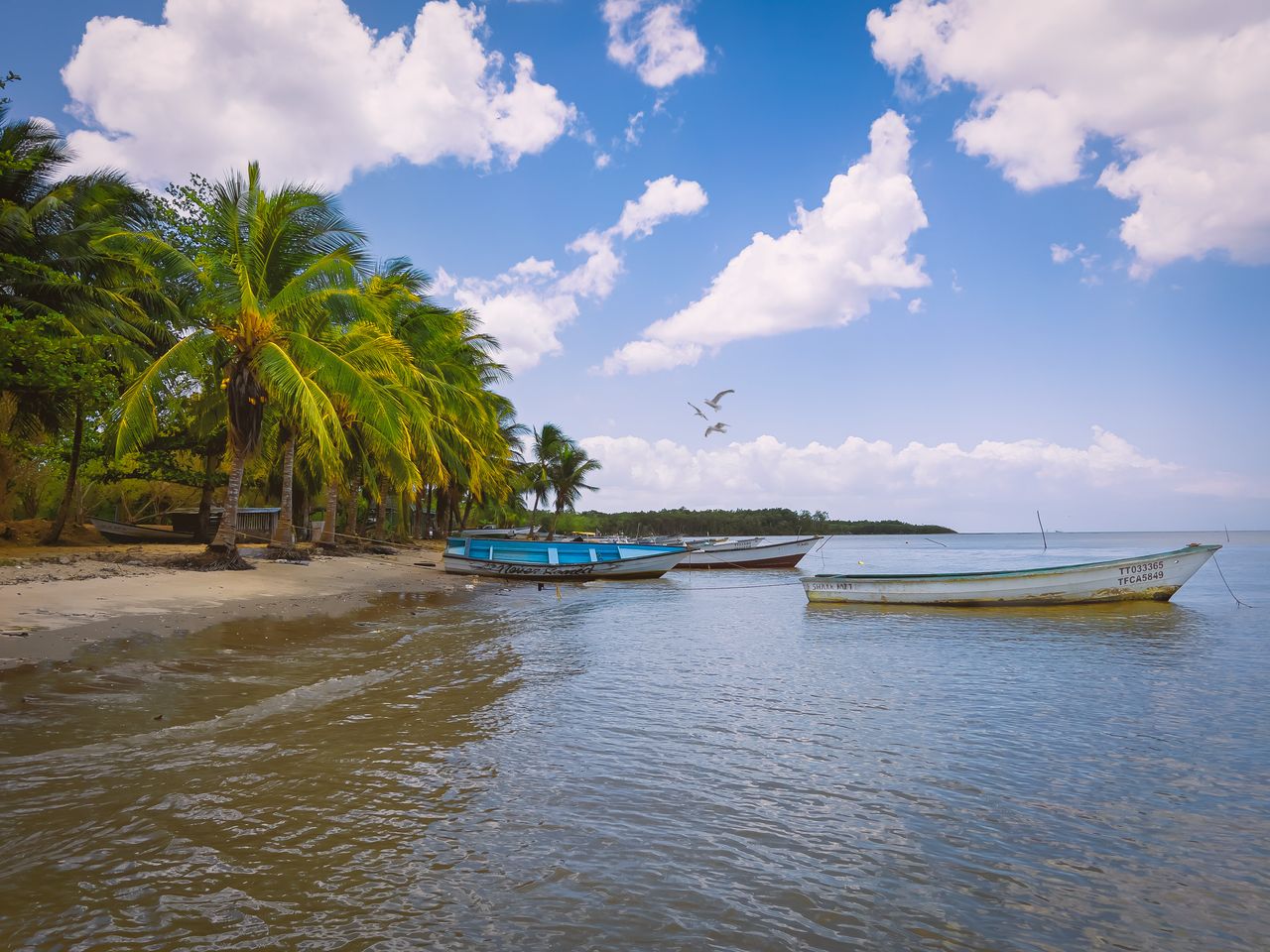 Best eSIM for Honduras travel; A tropical beach scene in Honduras with palm trees, shallow water, several small boats anchored in the sea.
