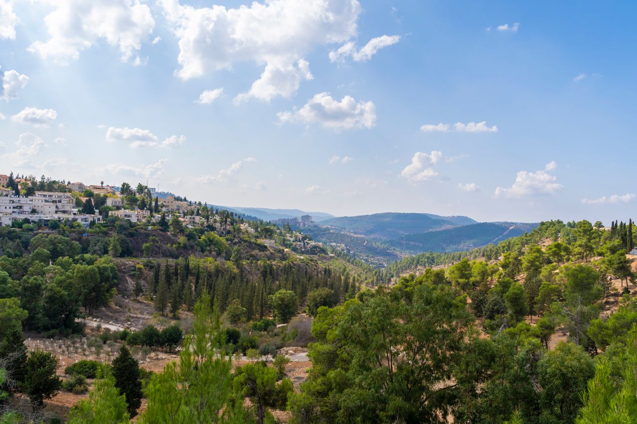 Best Israel eSIM for travel; a scenic landscape of a lush green valley in Israel with hillsides covered in trees, distant blue mountains, and a bright blue sky.