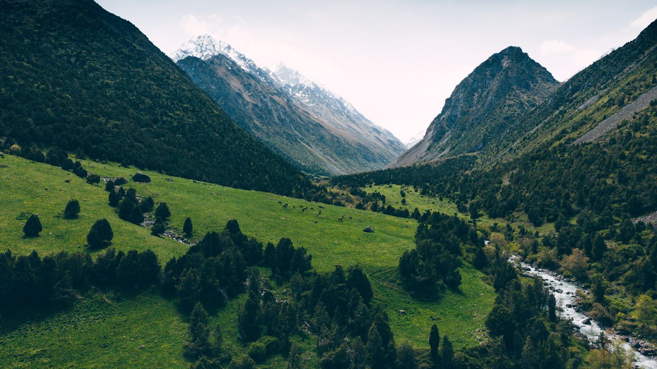 Best eSIM for Kyrgyzstan; a scenic mountain landscape with green forested hillsides and a narrow river in the center.