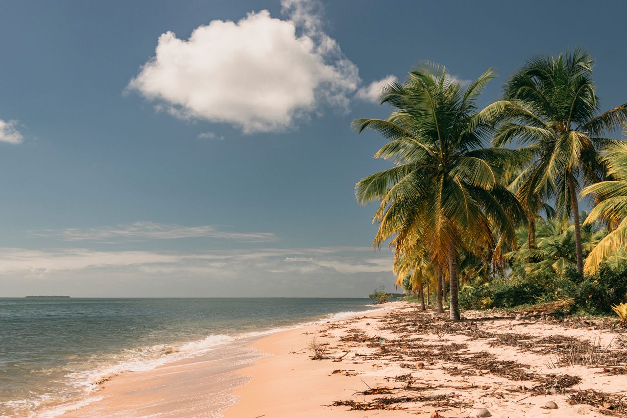 Best Liberia eSIM for travel; tropical beach scene in Liberia with pale sand, palm trees, blue ocean, and a partly cloudy sky.