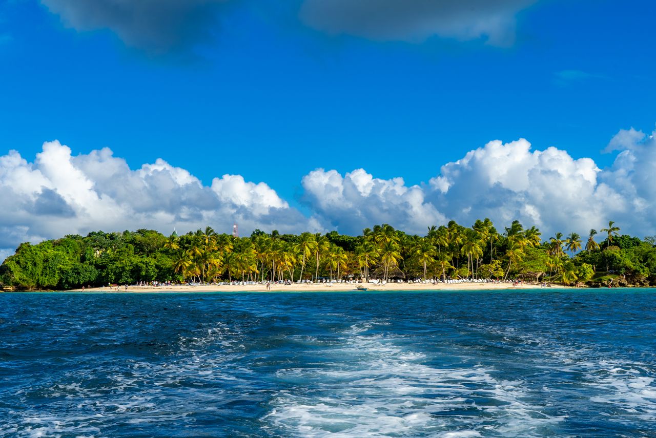 Best eSIM for Martinique; a tropical island scene in Martinique with lush greenery and a clear blue sky, viewed from the water.
