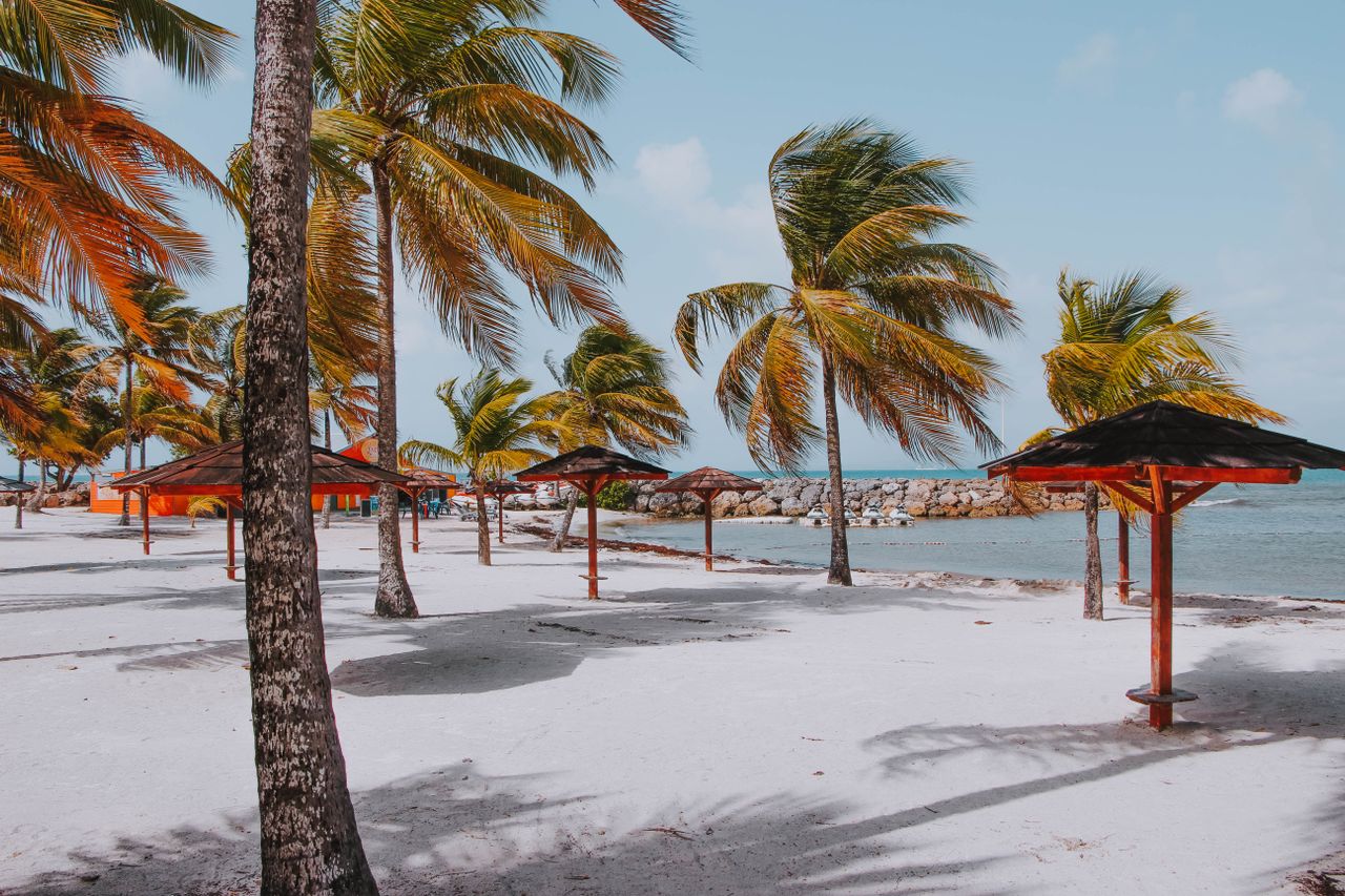 Best Martinique eSIM for travel; a tropical beach in Martinique with white sand, palm trees, blue sky, and several dark-roofed beach umbrellas along the shoreline.