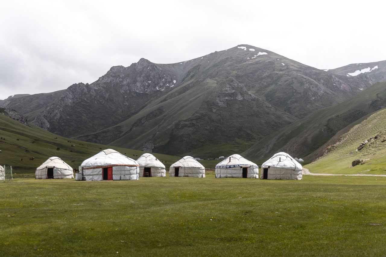 Best eSIM for Mongolia; scenic grassy plain in Mongolia with traditional white Yurts and mountains in the background
