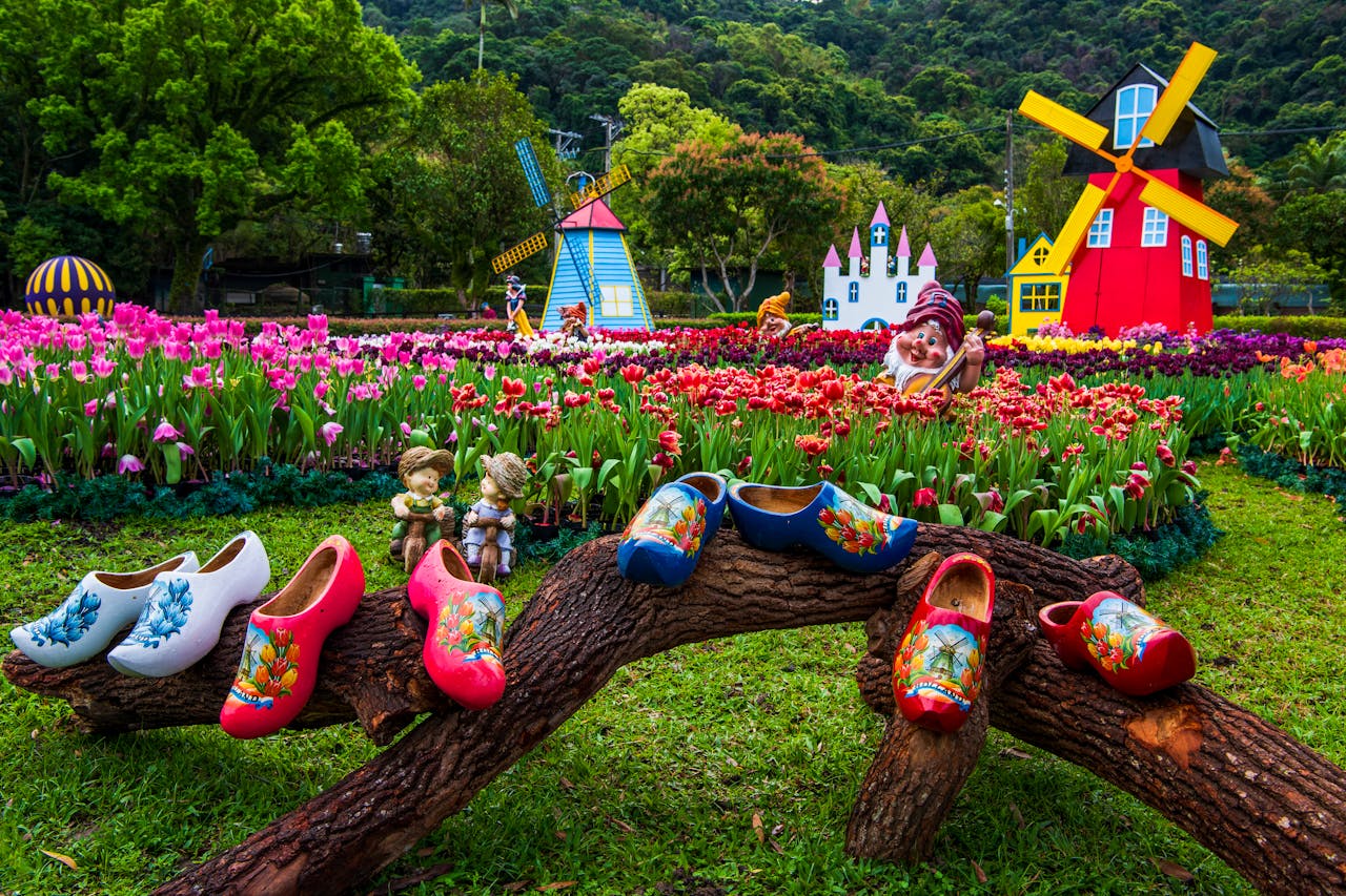 Netherlands esim plans for travel - photo of iconic Netherlands' Windmills, Tulips and Wooden Shoes.