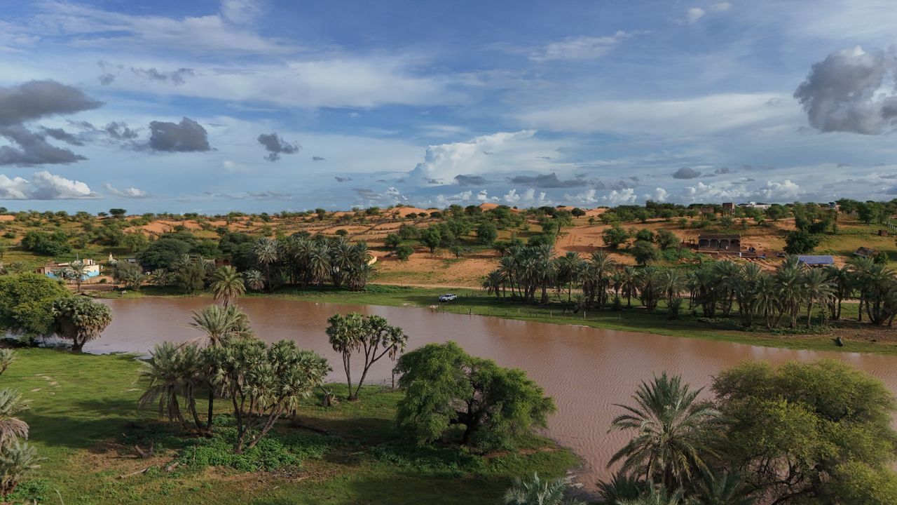 Best Niger eSIM for travel; a muddy brown river winding through green grassy banks and palm trees in Niger, with rolling hills of tan soil and trees in the background.
