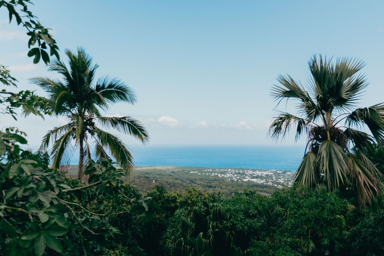 Best eSIM for Reunion; a scenic view of a tropical hillside in Reunion, framed with tropical vegetation and the ocean in the background.