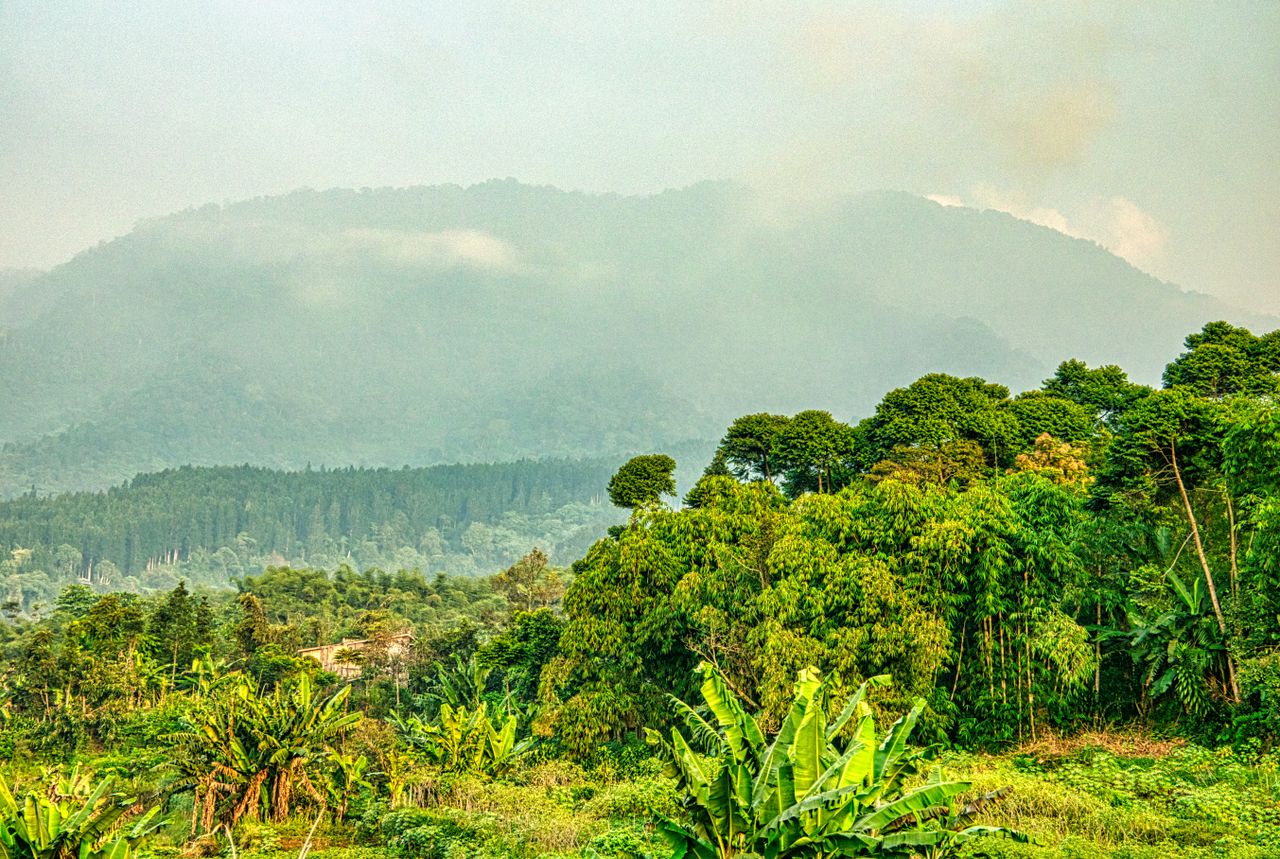 Best eSIM for Rwanda; a misty mountain landscape in Rwanda with layered green forested hills and dense tropical foliage.