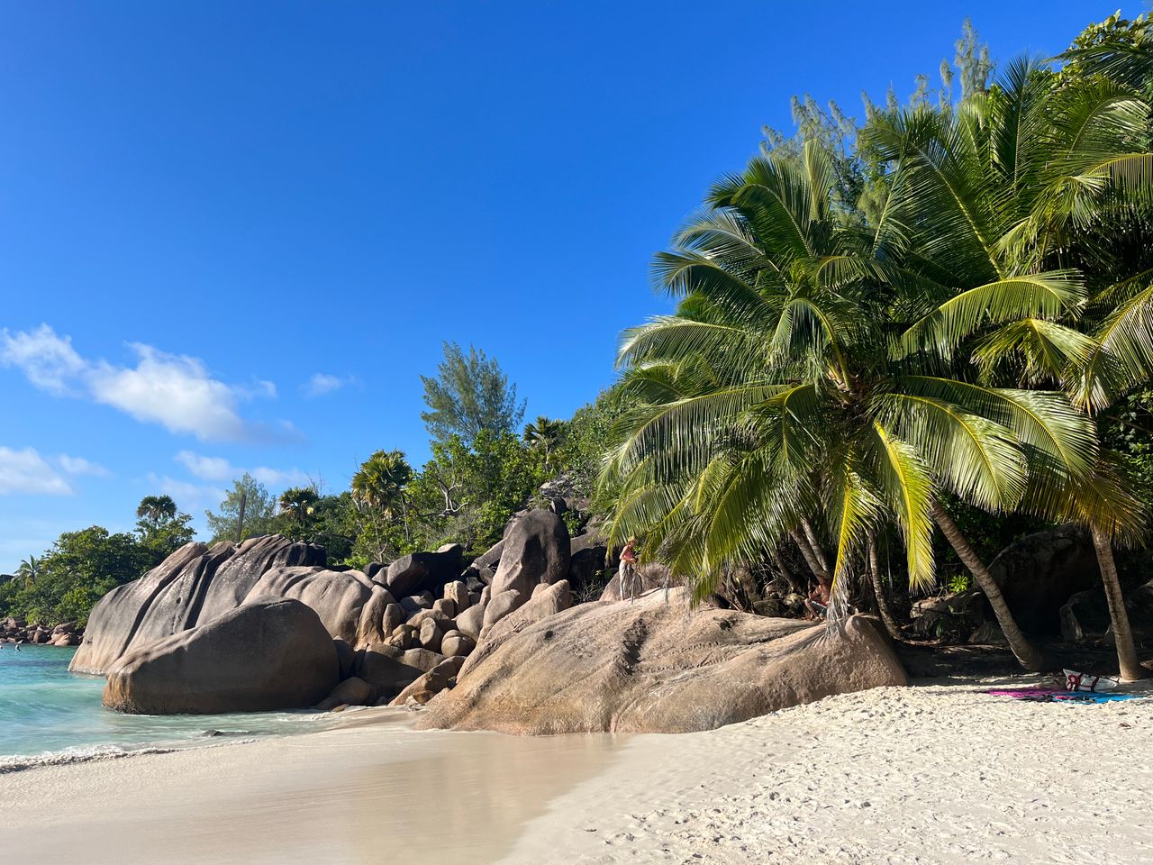 Best eSIM for Seychelles; a beach scene in the Seychelles with white sand beach against a rocky backdrop and palm trees.