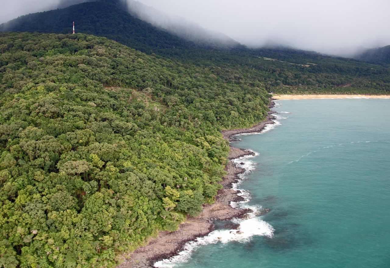 Best Sierra Leone esim for travel; aerial view of a lush green forested hillside in Sierra Leone meeting a rocky coastline with turquoise ocean water.