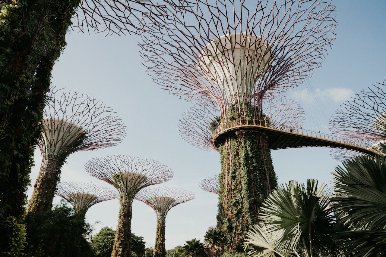 Singapore eSIM plans for travel - photo of Singapore's Supertrees