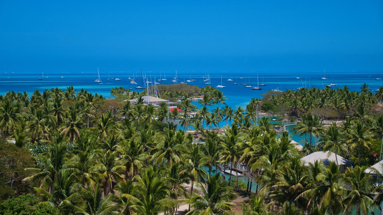 Best eSIM for St. Vincent and the Grenadines; aerial view of a tropical coastal scene with dense green palm trees in the foreground, turquoise water, small boats anchored in the distance, and a clear blue sky.