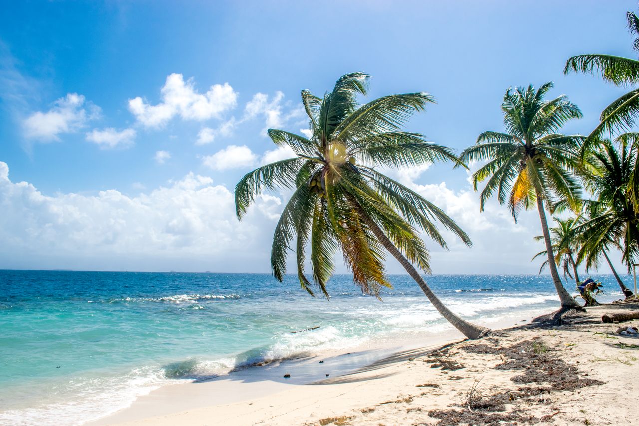 Best St. Vincent and the Grenadines eSIM for travel; a tropical beach scene with white sand, turquoise ocean water, blue sky, and several leaning palm trees.