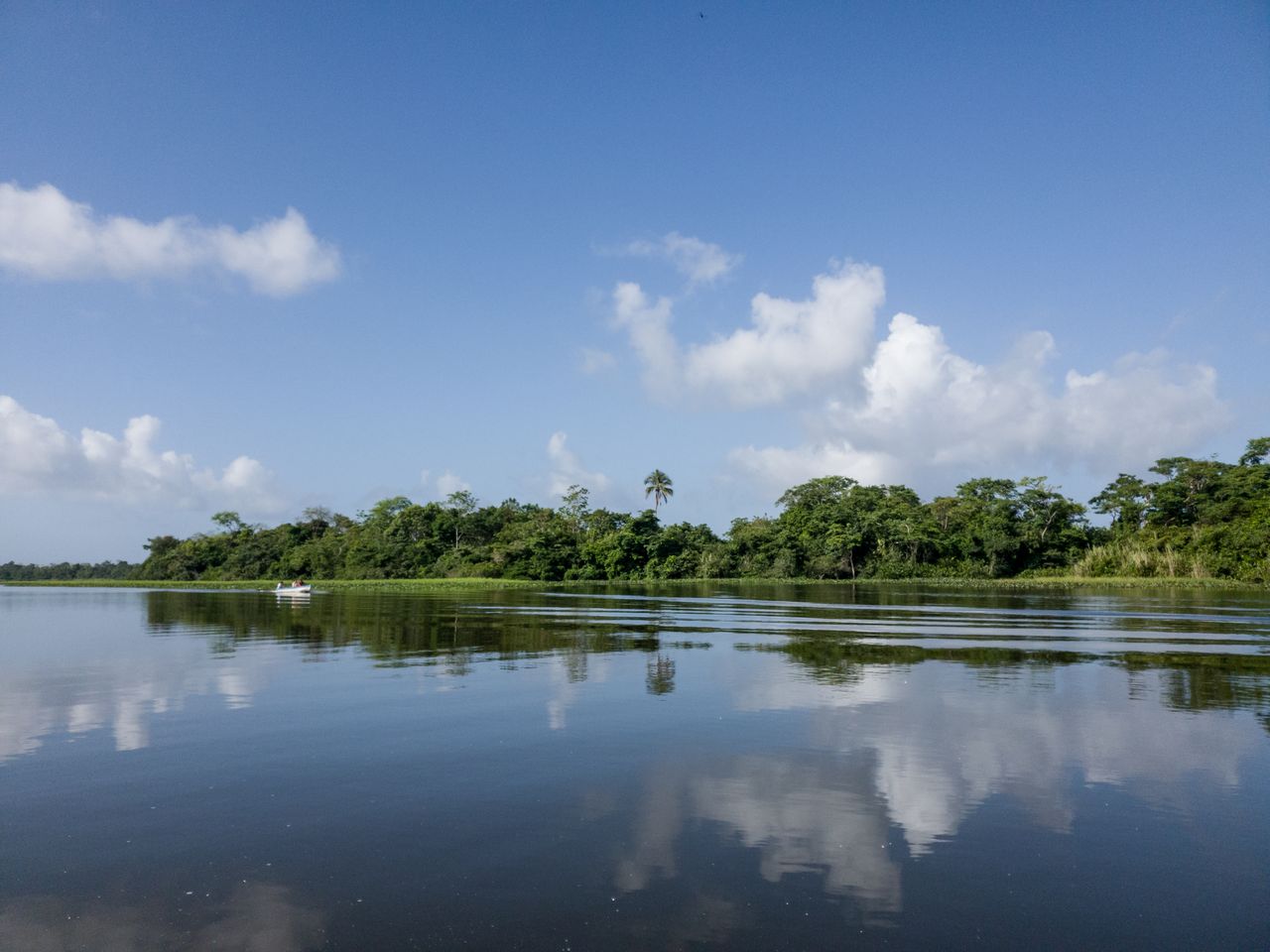 Best eSIM for Suriname; a scenic landscape of a calm river in Suriname with a dense green tree line on the horizon, reflecting a bright blue sky with white clouds in the water.