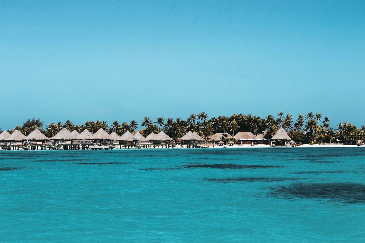Best French Polynesia eSIM for travel; tropical overwater bungalows with thatched roofs line a palm tree-covered island in French Polynesia.