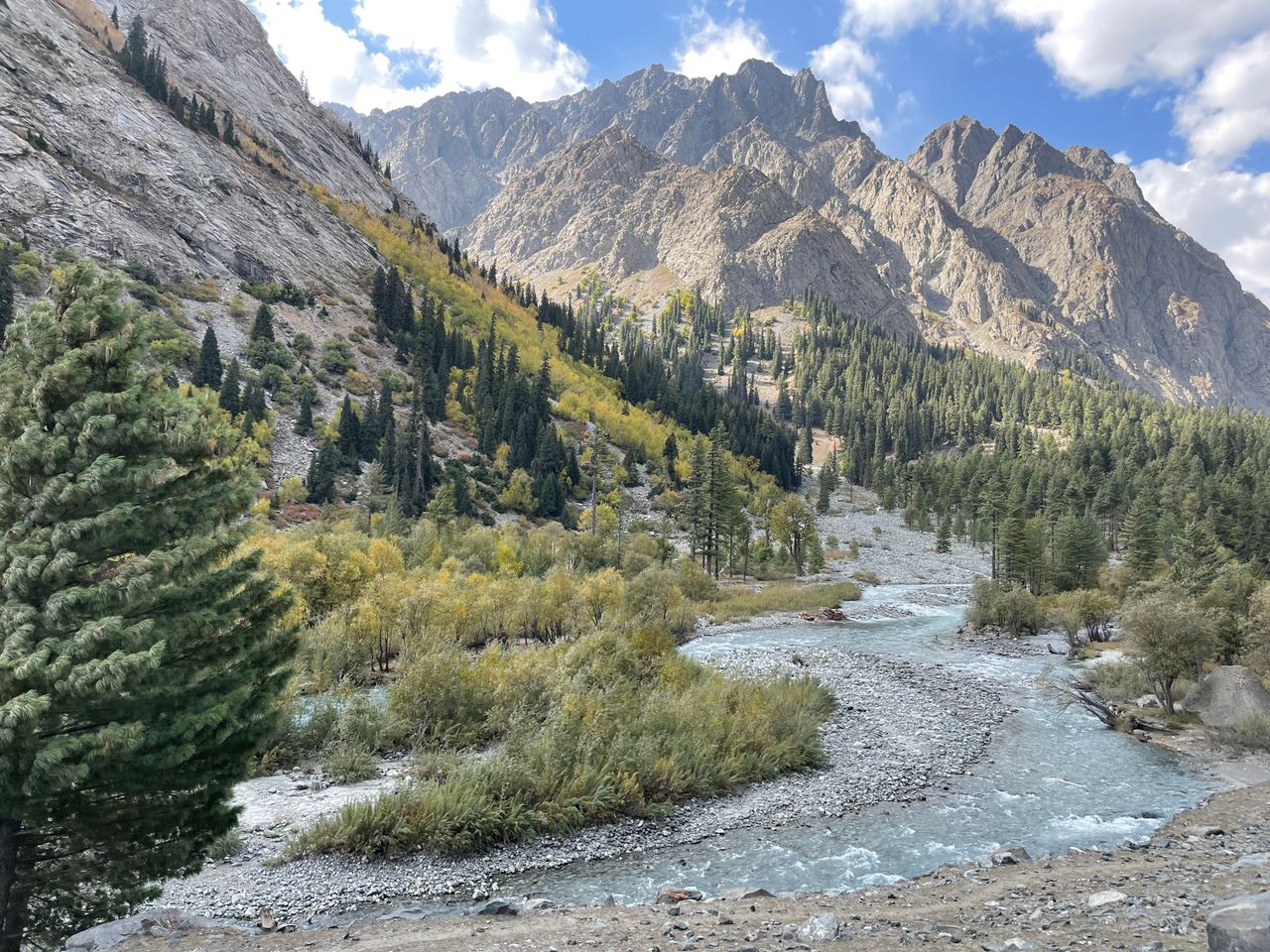 Best Tajikistan eSIM for travel; a mountain landscape with steep rocky peaks, a winding river through a valley in Tajikistan, with evergreen trees, and autumn foliage. 