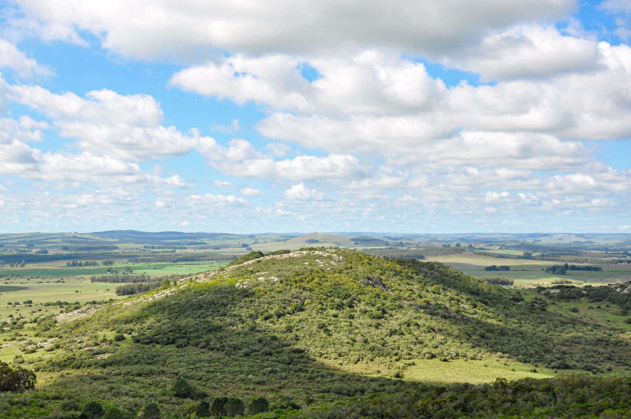 Best eSIM for Uruguay travel; a scenic landscape in Uruguay showing a green rolling hill under a bright blue sky filled with large white clouds.